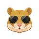 Hamster Fijas